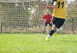 纽约媒体公,布民意调查,结果,米博体育平台,米博体育官方网站,米博体育登录入口,米博体育app下载