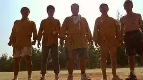 米博体育 资讯 115556 pf8