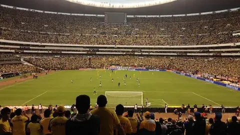 米博体育 资讯 095520 t46